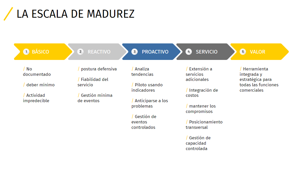Auditoría organizativa y escala de madurez | SEIF