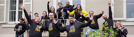 team-SEIF