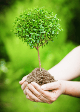 bandeau page produit