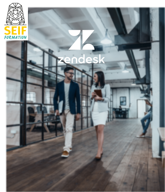 Formation Zendesk